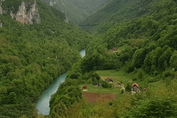 Домики в парке Дурмитор