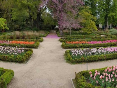 Королевский ботанический сад Мадрида