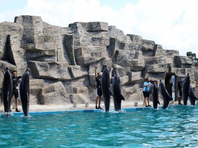 Аквариум и дельфинарий в Батуми