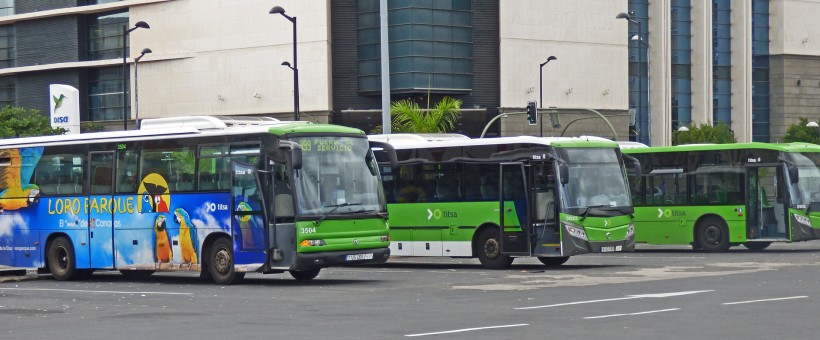 Общественный транспорт Тенерифе: как передвигаться по острову без авто?