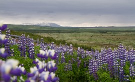 Погода в Исландии по месяцам. Как одеться в поездку - изображение №2