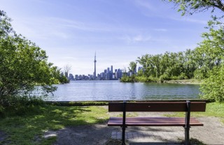 Островной парк Торонто