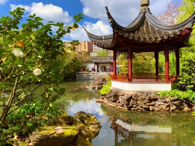 Классический китайский сад доктора Сунь Ятсена, Ванкувер
