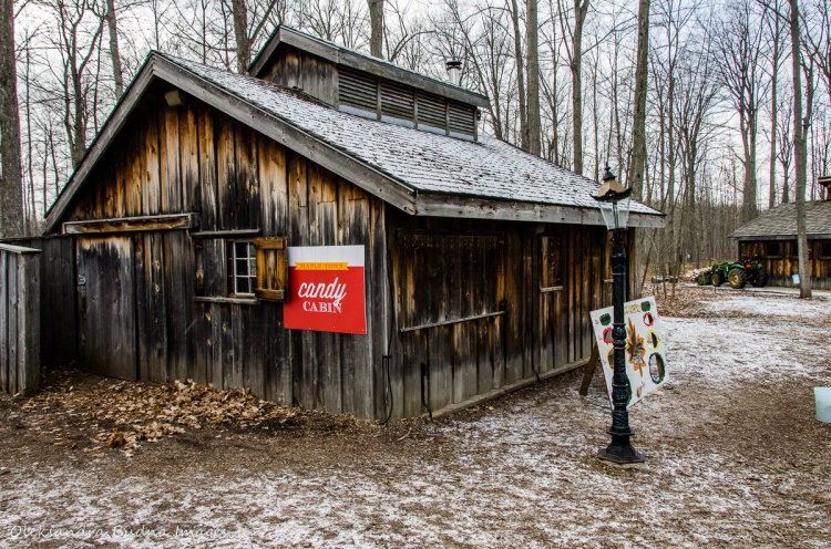 Mapletown At Mountsberg