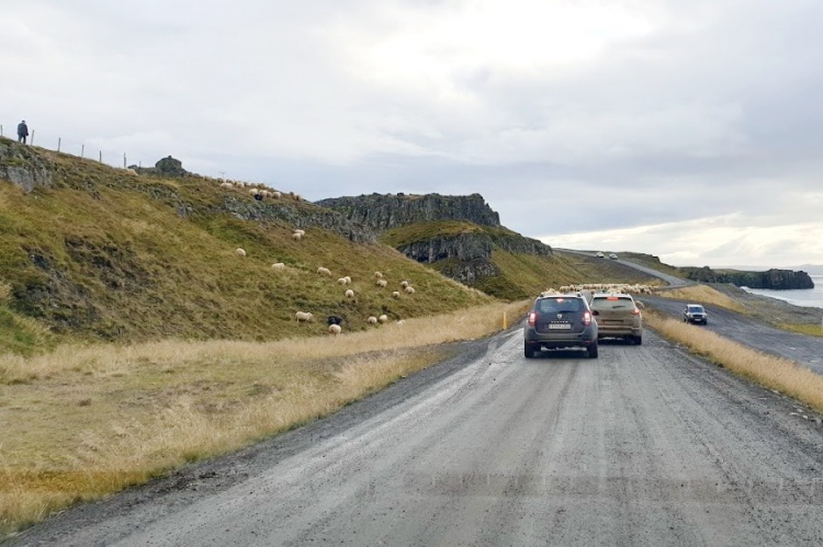 Грунтовая дорога в Исландии