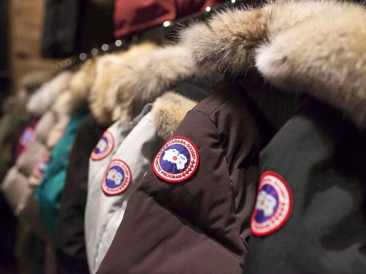 Бренд Canada Goose 