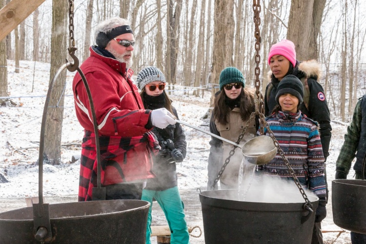 Purple Woods maple Syrup Festival