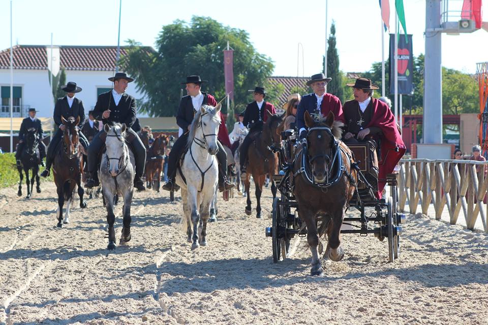 Праздники и фестивали Португалии Фестиваль Horse Fair Португалия
