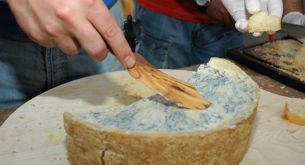 Sarga del Gorgonzola