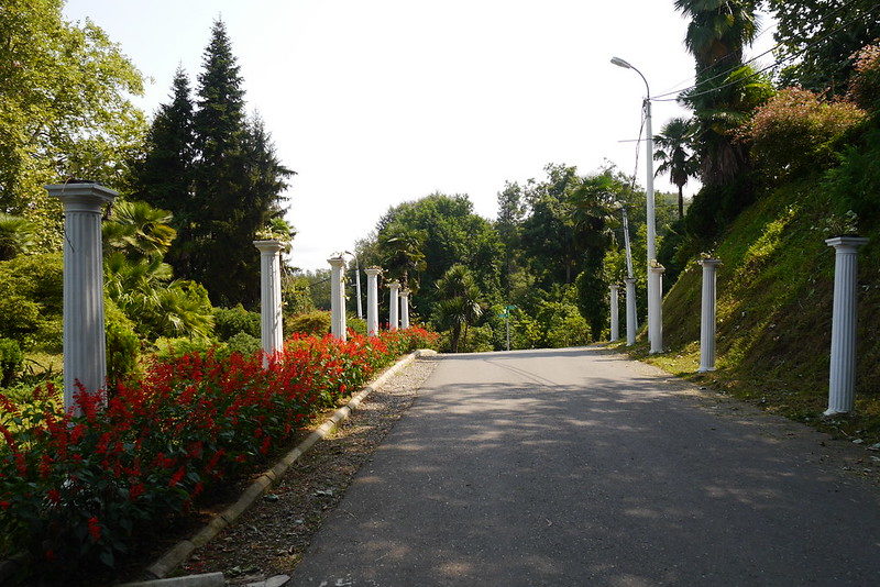 Botanical Garden Batumi