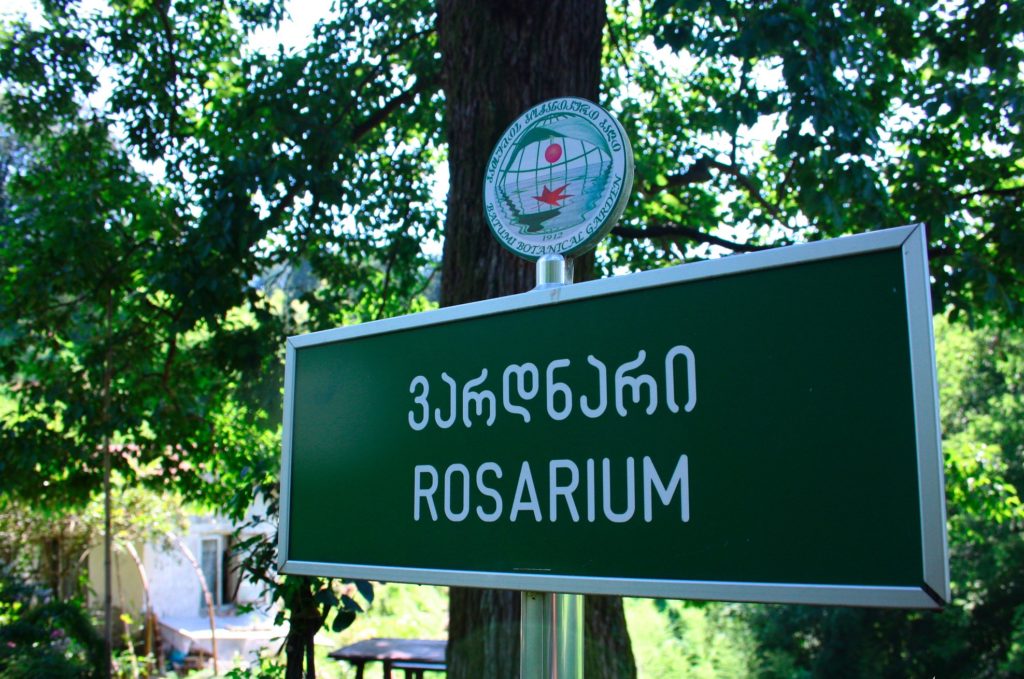 Все об Ботаническом саду в Батуми / Batumi Botanical Garden Розариум в ботсаду Батуми