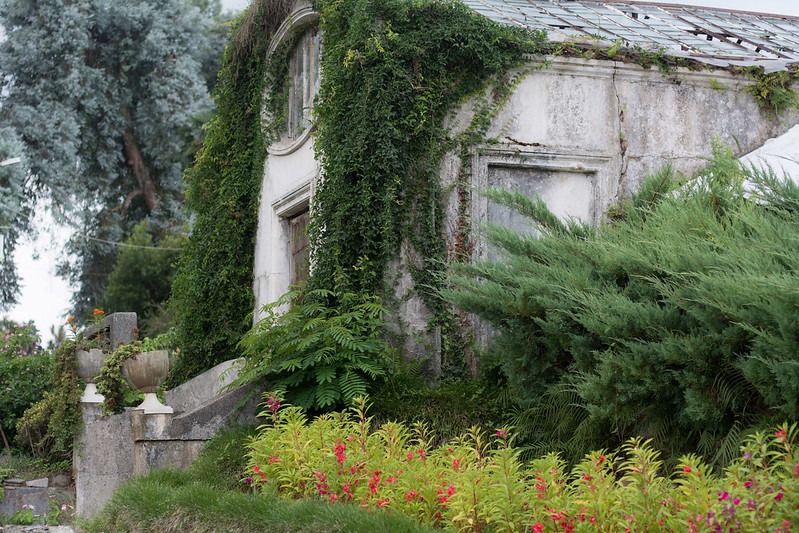 Все об Ботаническом саду в Батуми / Batumi Botanical Garden Ботанический сад в Батуми