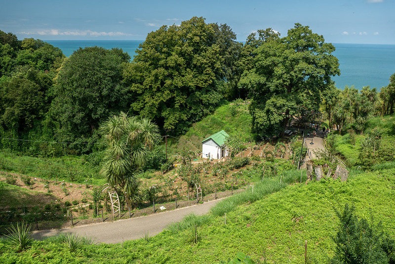 Все об Ботаническом саду в Батуми / Batumi Botanical Garden Как добраться до ботсада в Батуми