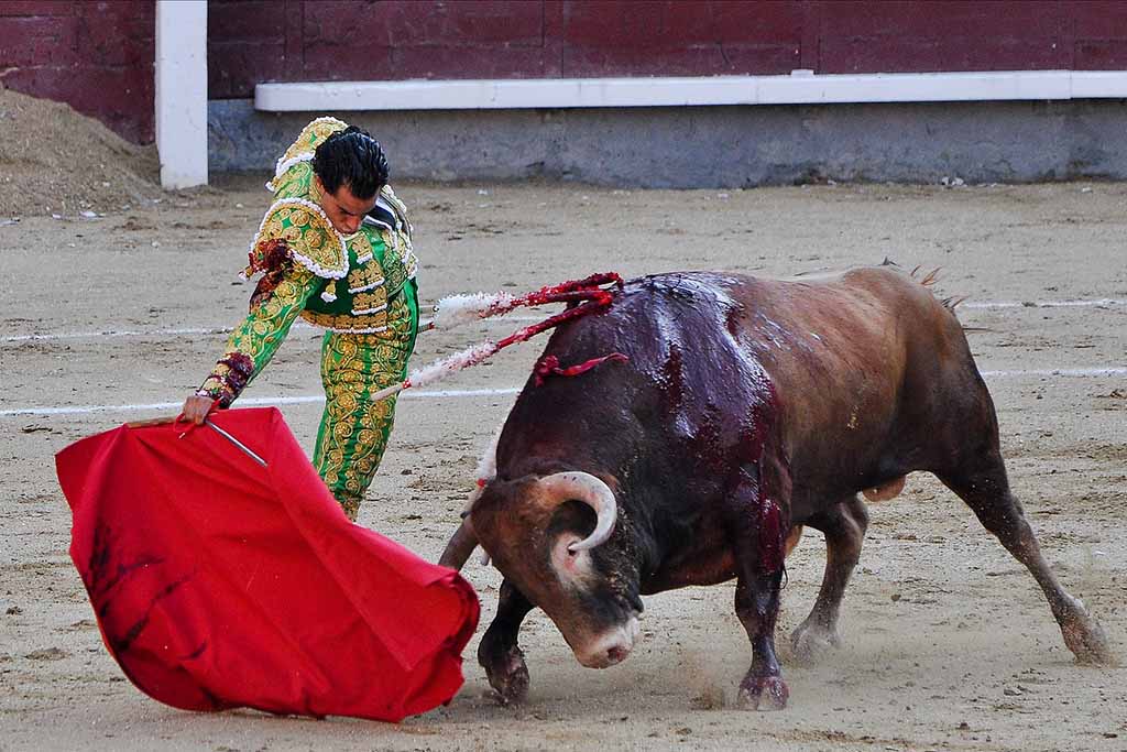 Арена Лас-Вентас в Мадриде / Las Ventas Лас Вентас, Мадрид, фото