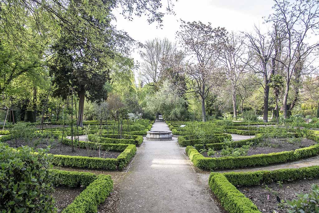 Когда лучше посетить Ботанический сад Мадрида — Real Jardín Botánico de Madrid