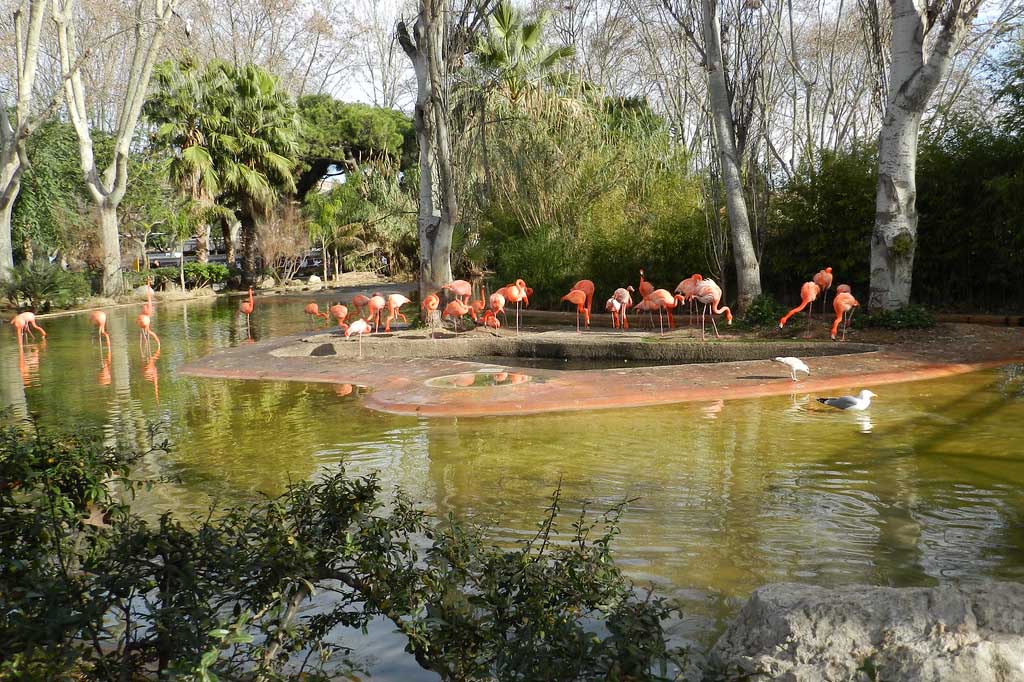 Zoo Barcelona