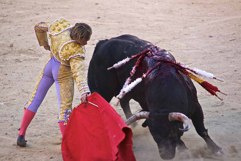 Арена Лас-Вентас в Мадриде / Las Ventas Лучшее время для посещения корриды Лас-Вентас, Мадрид