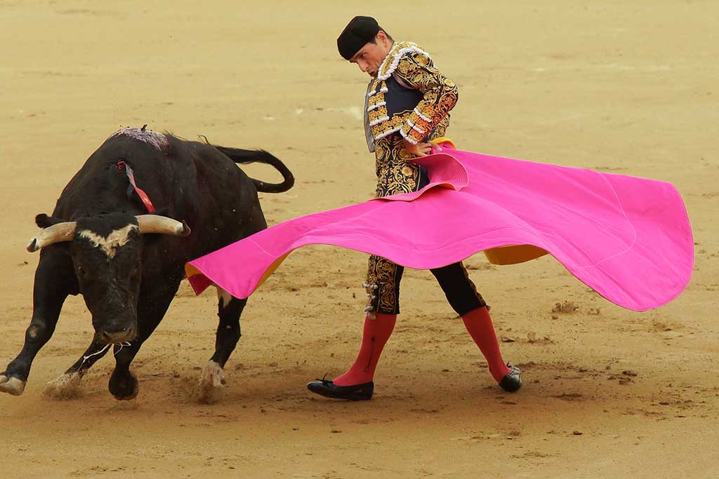 Арена Las Ventas в Мадриде