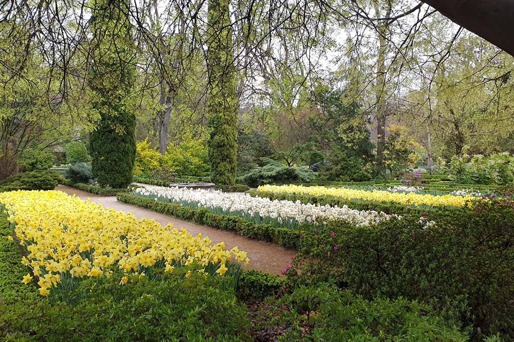 Королевский ботанический сад Мадрида / Real Jardín Botánico Ботанический сад в Мадриде, Испания