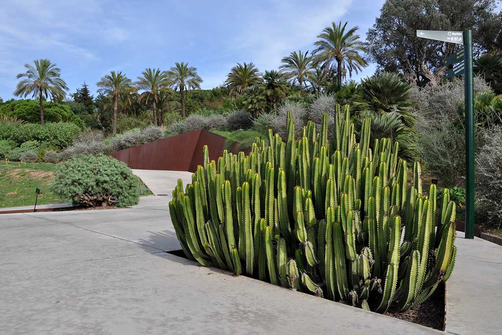 Ботанический сад Барселоны / Jardí Botànic de Barcelona Прогулки по ботаническому саду Барселоны